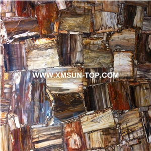 Brown Petrified Wood(Square Wood) Semiprecious Stone/Brown Semi-Precious Stone Slab&Tile&Customized/Semi Precious Stone Slab for Wall Cladding&Flooring/Semi-Precious Stone Panel/Interior Decoration