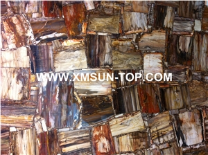 Brown Petrified Wood(Square Wood) Semiprecious Stone/Brown Semi-Precious Stone Slab&Tile&Customized/Semi Precious Stone Slab for Wall Cladding&Flooring/Semi-Precious Stone Panel/Interior Decoration