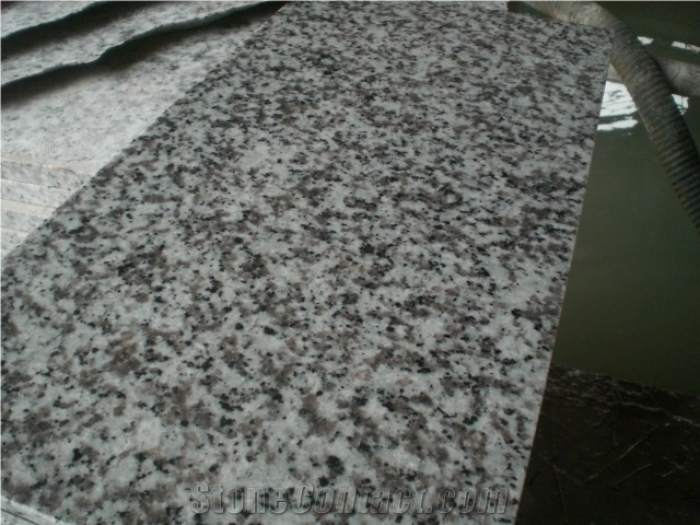 China Grey Big White Flower Barry Blue Beta White Granite G439 Kitchen Top Benchtop Vanity Top