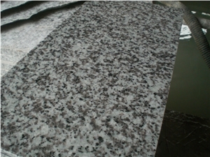 China Grey Big White Flower Barry Blue Beta White Granite G439 Kitchen Top Benchtop Vanity Top