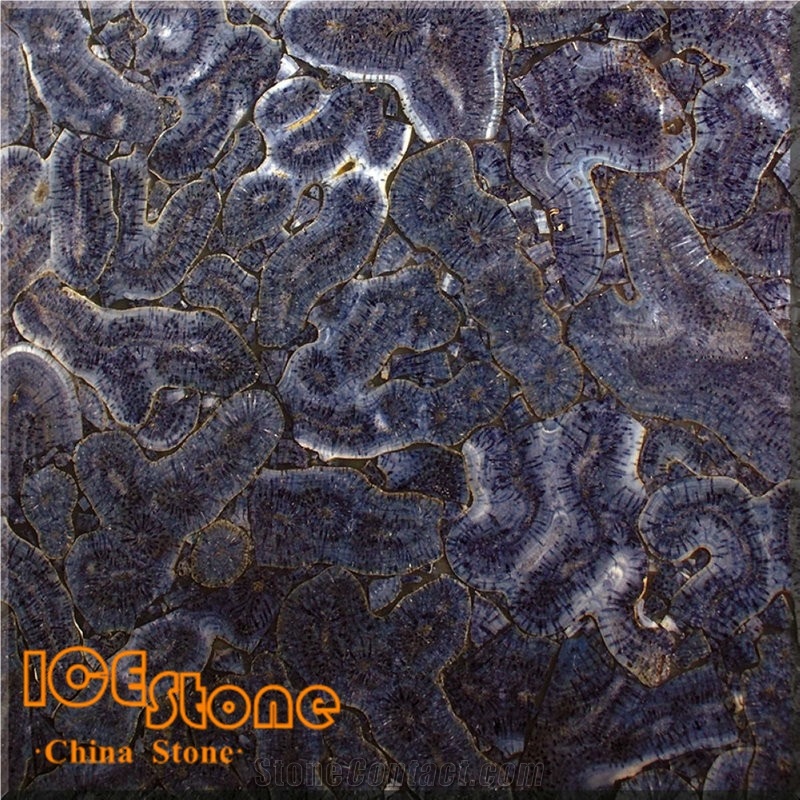 Purple Coral Fossils Semi-Precious/Agate/Lapiz/Crystal/Tiger Eyes Stone Slabs & Tiles/Semi-Precious Luxious/Semi-Precious/Semi-Precious Slabs/Semiprecious Stone