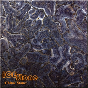 Purple Coral Fossils Semi-Precious/Agate/Lapiz/Crystal/Tiger Eyes Stone Slabs & Tiles/Semi-Precious Luxious/Semi-Precious/Semi-Precious Slabs/Semiprecious Stone