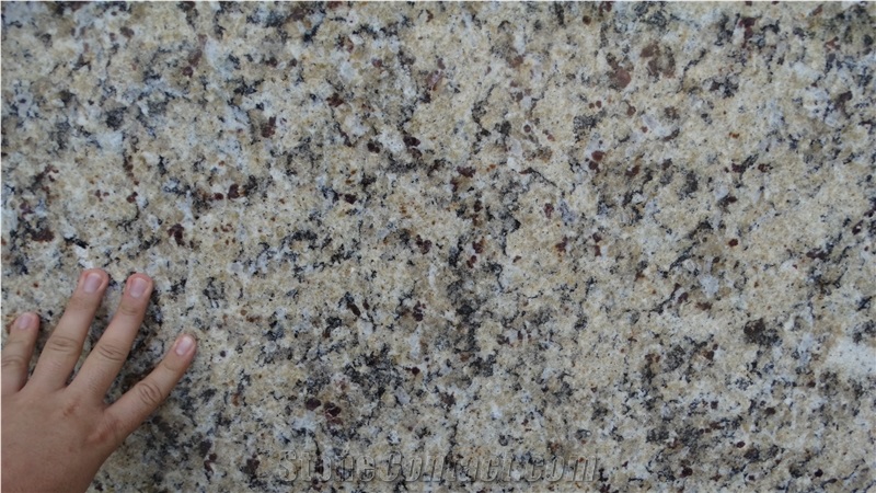 Giallo Napoli Slabs