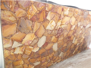 Asian Picure Fossil Slab/ Picure Fossil Ties /Asian Picture Fossil Gemstone Slab