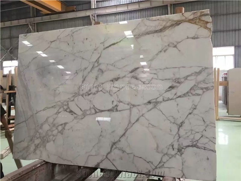 Bianco Statuario White Marble Slab & Tiles/Arabescato White Marble Floor Covering Tiles/White Statuario Slab /Statuario Carrara Slab
