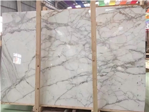 Bianco Statuario White Marble Slab & Tiles/Arabescato White Marble Floor Covering Tiles/White Statuario Slab /Statuario Carrara Slab