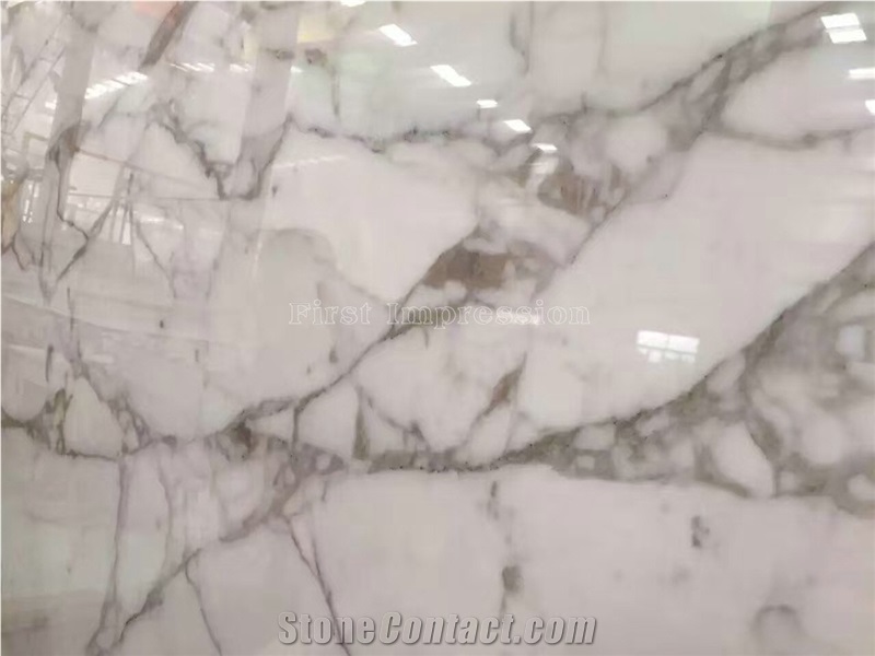 Bianco Statuario White Marble Slab & Tiles/Arabescato White Marble Floor Covering Tiles/White Statuario Slab /Statuario Carrara Slab