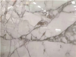 Bianco Statuario White Marble Slab & Tiles/Arabescato White Marble Floor Covering Tiles/White Statuario Slab /Statuario Carrara Slab