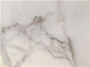 Bianco Statuario White Marble Slab & Tiles/Arabescato White Marble Floor Covering Tiles/White Statuario Slab /Statuario Carrara Slab