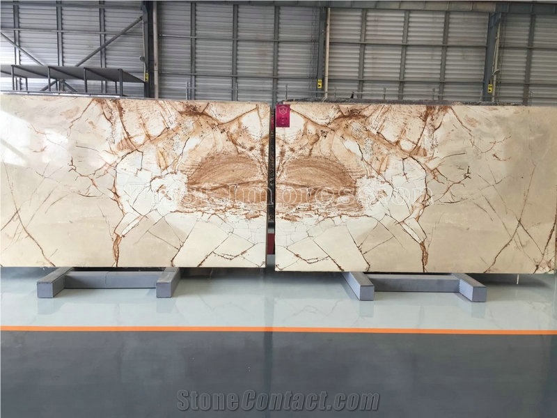 Brazil Roma Impression Quartzite Slab & Tile/Private Meeting Place/Top Grade Hotel Interior Decoration Project/New Finished High Quality & Best Price Natural Quartzite/Luxury Decoration Material