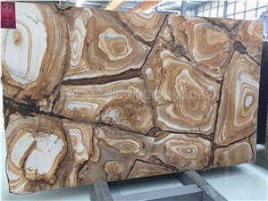 Flamenco Quartzite Slabs & Tiles/Top Grade Hotel Interior Decoration Project/New Polished Slabs/High Quality & Best Price Natural Stone/Luxury Palomino