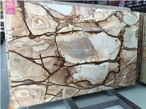 Golden Palomino Quartize Slabs & Tiles/Top Grade Hotel Interior Decoration Project Matetial/New Finishd High Quality Best Price Quartzite