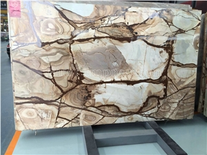 Luxury Palomino Quartize Slabs & Tiles/Top Grade Hotel Interior Decoration Project Matetial/New Finishd High Quality Best Price Quartzite Wall & Floor Covering Tiles