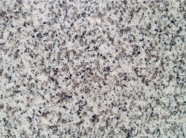 New G603 Grey Granite Tiles & Slabs/Padang Light/Sesame White/Padang White/Bianco Amoy/Bianco Crystal White/China Grey Granite Tiles/China Grey Granite for Project