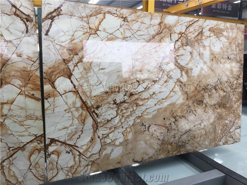 New Polished Brazil Roma Impression Natural Quartzite Slabs & Tiles/Slabs/Private Meeting Place/Top Grade Hotel Interior Decoration Project/New Finished/High Quality & Best Price