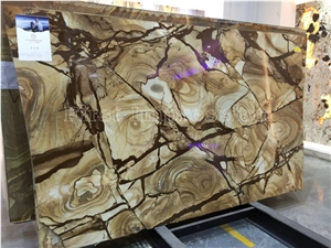 Palomino Quartzite Tiles & Slabs/Quartzite Floor Covering/Quartzite Wall Covering/Quartzite Floor Tiles/Quartzite Wall Tiles/Quartzite For Countertops