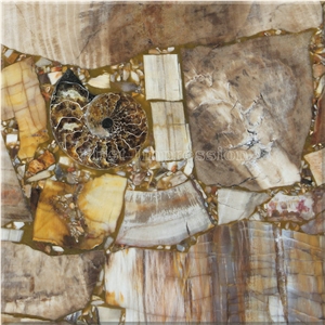 Perified Wood Gmestone Fooring Tiles /Perified Wood Semiprecious Stone Wall /Perified Wood Smi Precious Tiles /Perified Wood Gemstone Slab/ Perified Wood Semi Precious Stone Panels