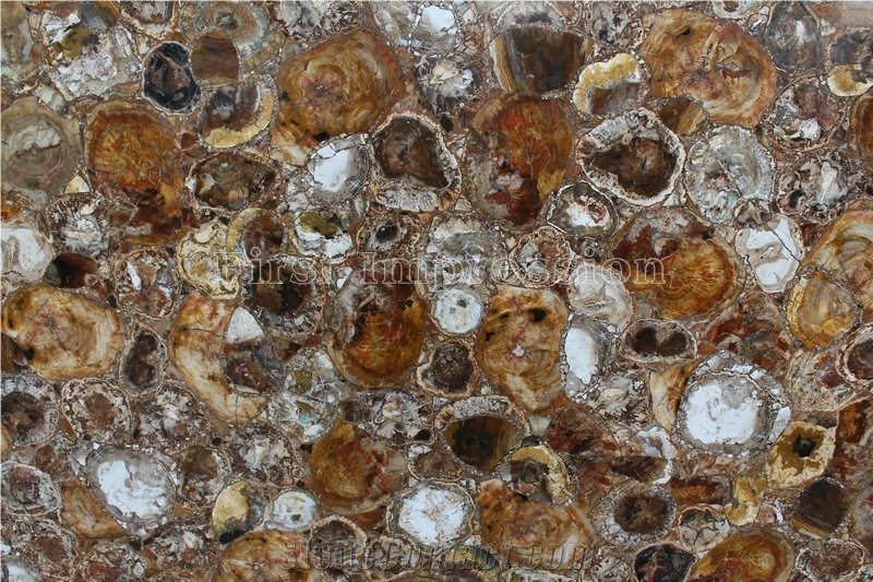 Perified Wood Gmestone Fooring Tiles /Perified Wood Semiprecious Stone Wall /Perified Wood Smi Precious Tiles /Perified Wood Gemstone Slab / Perified Wood Semi Precious Stone Panels