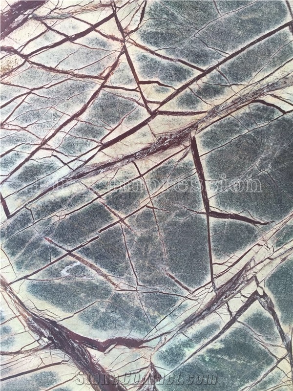 Polished Rain forest Green Marble Tiles & Slabs/Green Polished Marble Floor Tiles & Wall Tiles/Best Price Green Marble Big Slabs/India Rain Forest Marble Stone/Classic Green Marble/Beautiful Marble