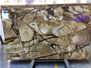 Yellow Luxury Palomino Quartzite Tiles & Slabs/Quartzite Floor Covering/Quartzite Wall Covering/ Flamenco Quartzite/Quartzite Wall Tiles/High Grade & Good Price Slabs
