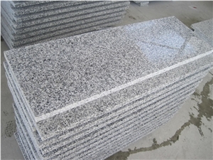 Cheapest Price High Quality Own Factory Chinese G640/Bianco Sardo/New Grigio Sardo/Padang Gamma/Luna Pearl/Deep Sea Rock/Grigio Barrocco/Spotted Zebra/White Leopard Granite Stairs & Steps & Riser