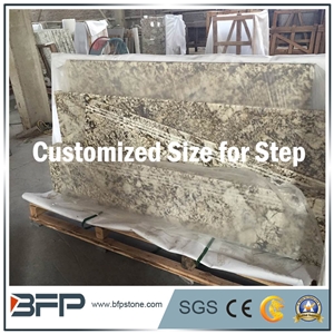 Beautiful Natural Granite Stairs/Step&Risers/Tread&Riser for Hourse Decoration