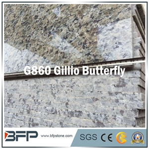 Imported Yellow Granite Slabs for Tiles, Gillo Butterfly, Beautiful Granite for Flooring and Wall Cladding