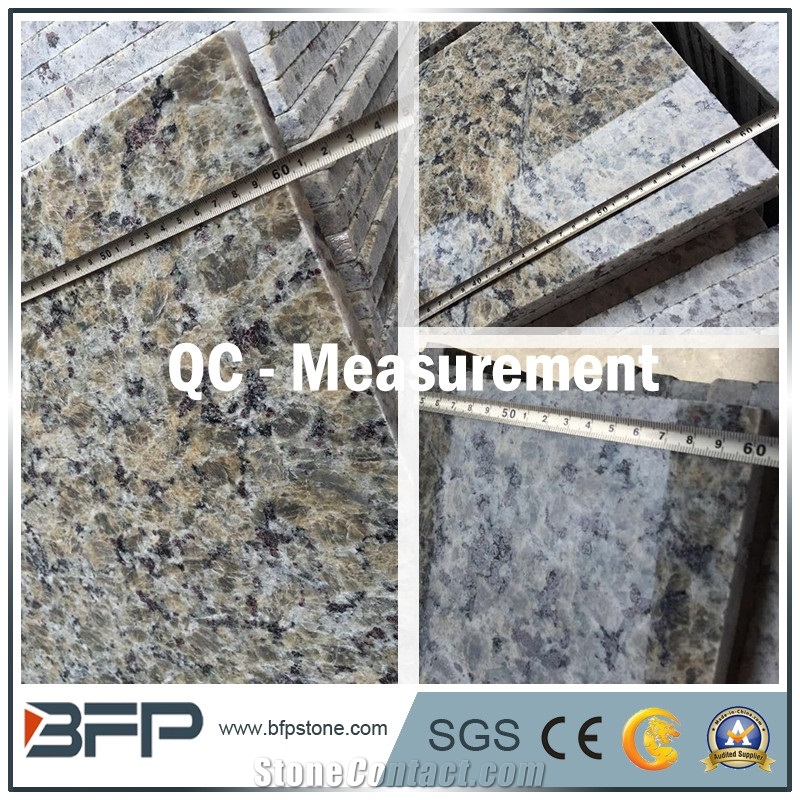 Imported Yellow Granite Slabs for Tiles, Gillo Butterfly, Beautiful Granite for Flooring and Wall Cladding