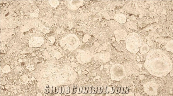 Daino Marble