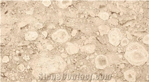 Daino Marble