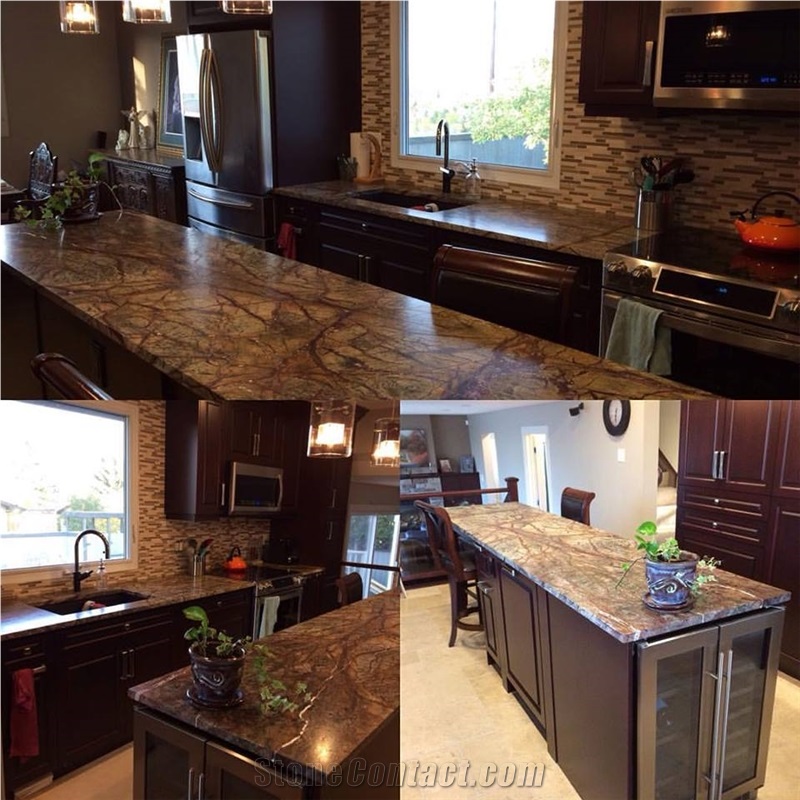 Rainforest Brown Leather Finish Kitchen Counter Tops