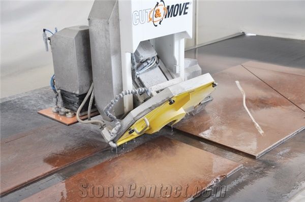 New Champion 5/Nt+Ns - Bridge Saw