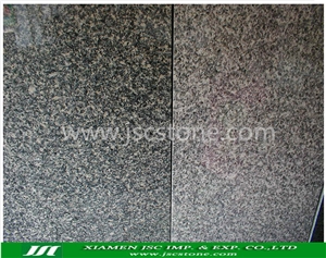 Leopard Skin Granite Slabs & Tiles