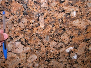 Giallo Fiorito, Amarelo Fiorito Granite,Amarelo Florenca,Amendoa Aurora,Fiorito,Giallo Fiorito Veneziano,Giallo Fioritto,Giallo Veneziano Florito,Yellow Fiorito,Giallo Firenze Granite Slab & Tile