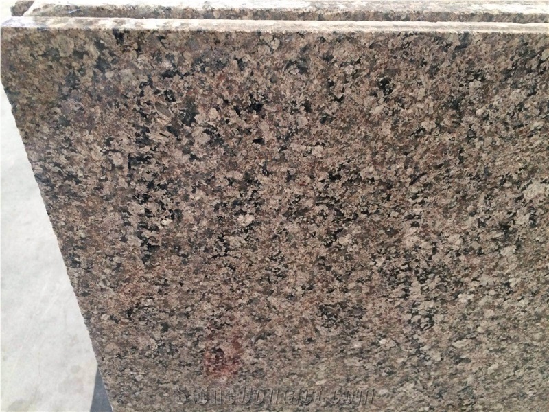 Desert Brown Granite Slabs