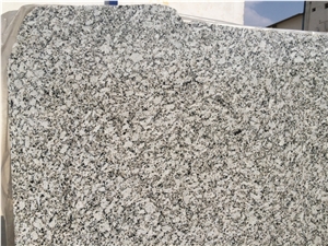 P. White Granite Slabs