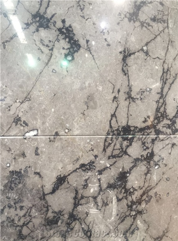 Noble Grey Marble Slabs & Tiles, Grey Polished Marble Flooring Tiles, Walling Tiles