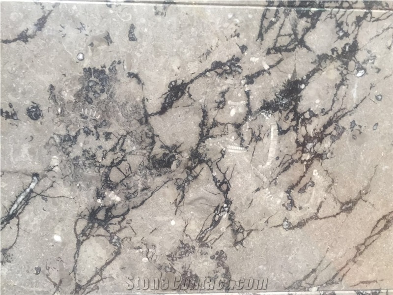 Noble Grey Marble Slabs & Tiles, Grey Polished Marble Flooring Tiles, Walling Tiles