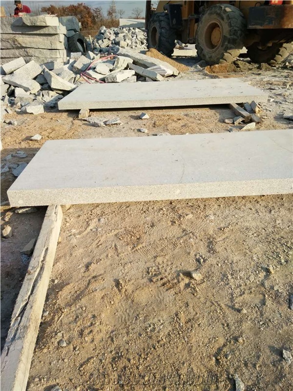 G341 a Siver Grey Large Size Slabs