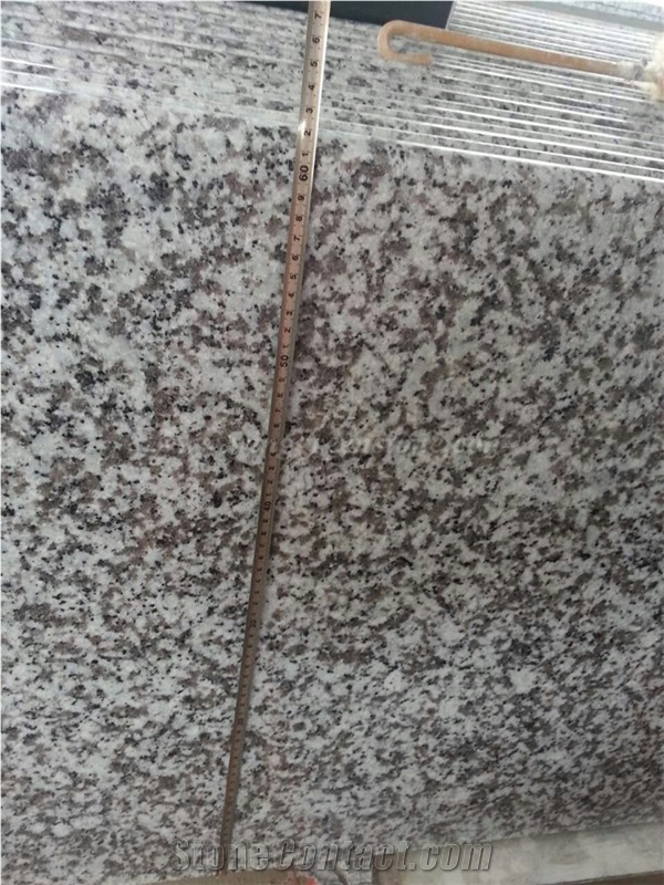 G439 Granite Countertop, China Bala Flower White Granite Kitchen Countertop, Customized Countertops, Bar/Island/Desk Tops, Winggreen Stone