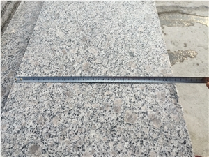 High Polished and Good Quality Pearl Flower,G383,Jade White,Pearl Blossom Granite Stairs and Step in Competitive Price