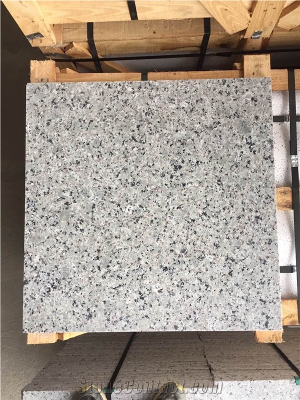Own Quarry G439/China Bianco Sardo/Big Flower White/Puning White Granite Tiles and Slabs,Beautiful Granite for Floor and Wall Covering Classic Color Granite Made in China