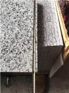 Own Quarry G439/China Bianco Sardo/Big Flower White/Puning White Granite Tiles and Slabs,Beautiful Granite for Floor and Wall Covering Classic Color Granite Made in China