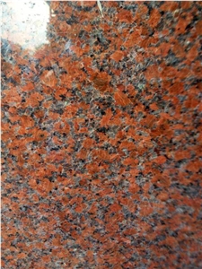 G562 Maple Red Granite Slabs & Tiles, China Red Granite