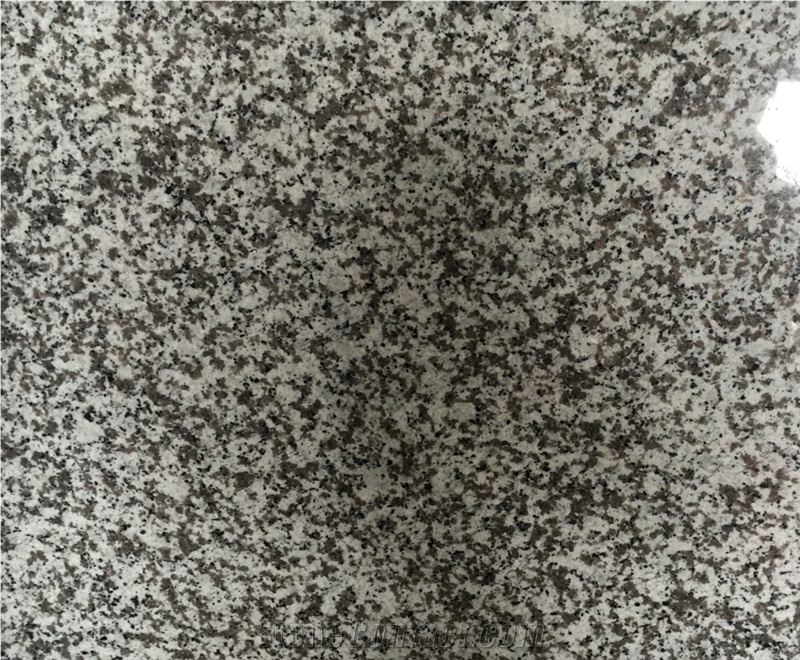 Polished G439 Granite Slabs & Tiles, China White Granite