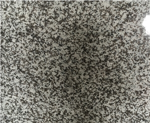 Polished G439 Granite Slabs & Tiles, China White Granite Polished G439 Granite Slabs & Tiles, China White Granite