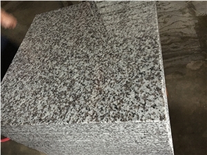 Polished G439 Granite Slabs & Tiles, China White Granite