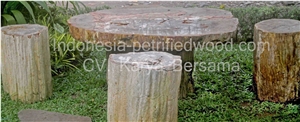 Petrified Wood Table Set
