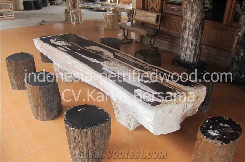 Petrified Wood Table Set
