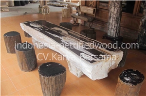 Petrified Wood Table Set